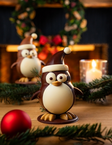 Rusty le pingouin de Noël - Beussent Lachelle