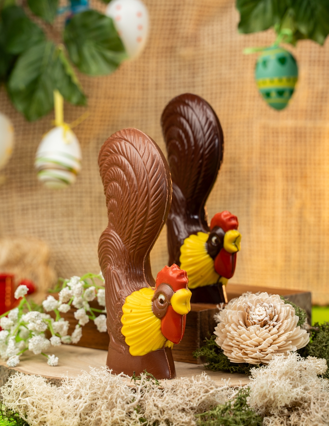 Coq panaché - Chocolat Beussent Lachelle