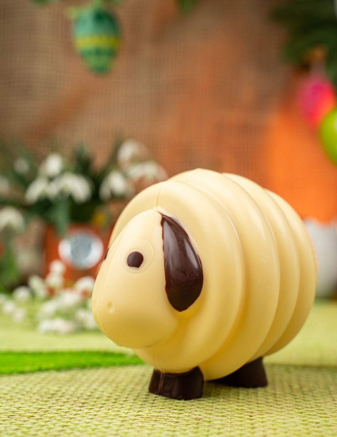 Mouton blanc - Chocolat Beussent Lachelle