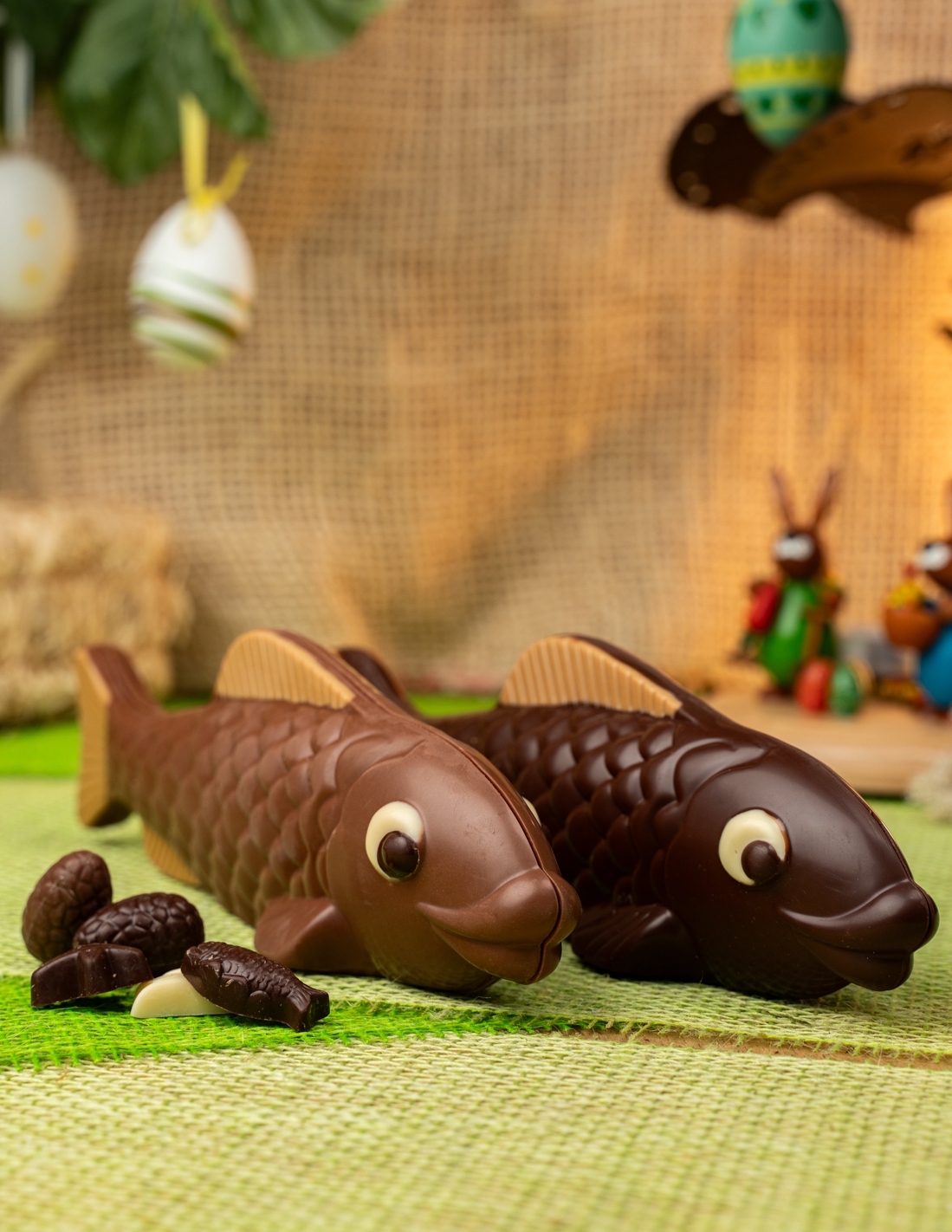 Poisson - Chocolat Beussent Lachelle