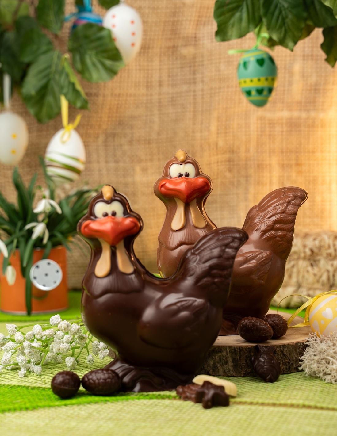 Poule coquette - Chocolat Beussent Lachelle