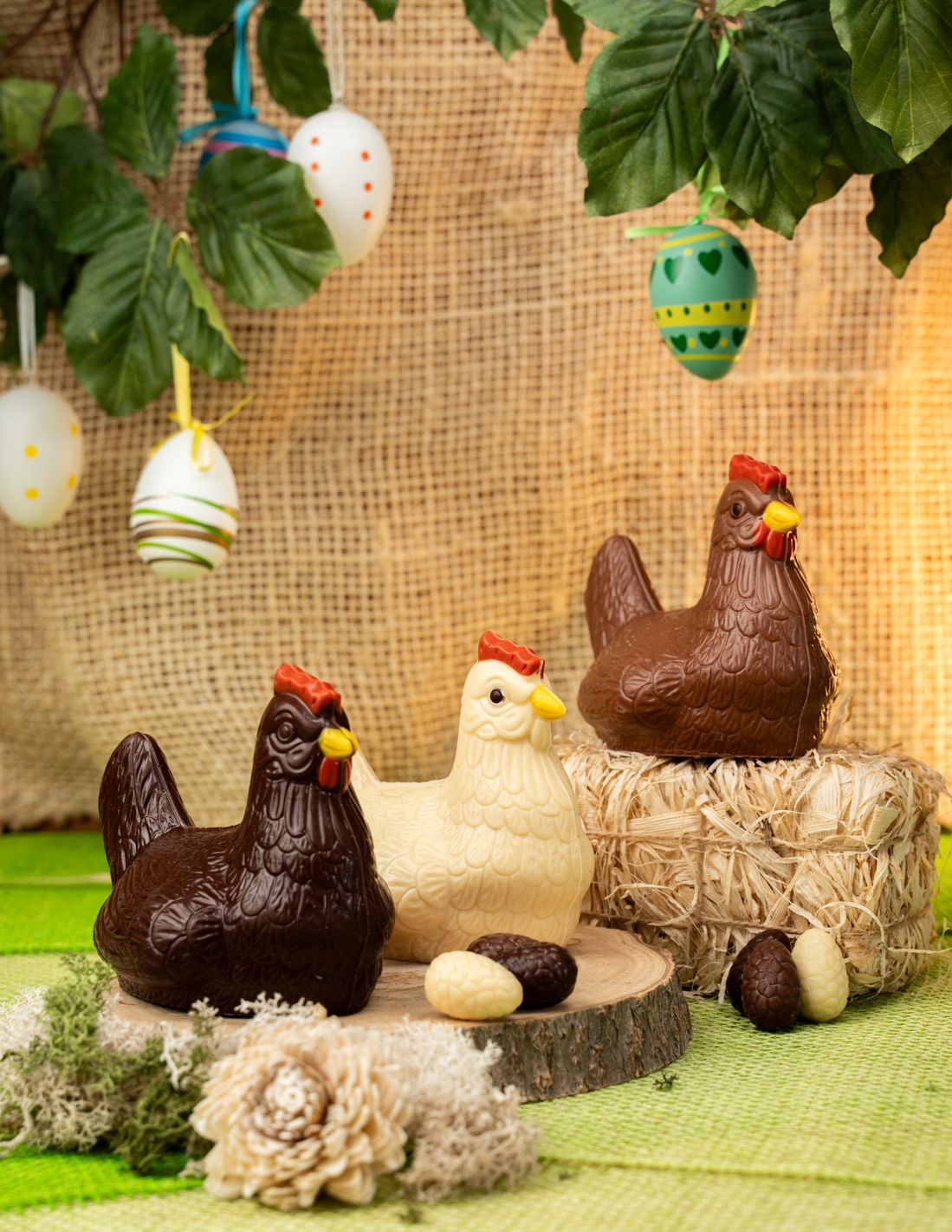 Poule plume - Chocolat Beussent Lachelle