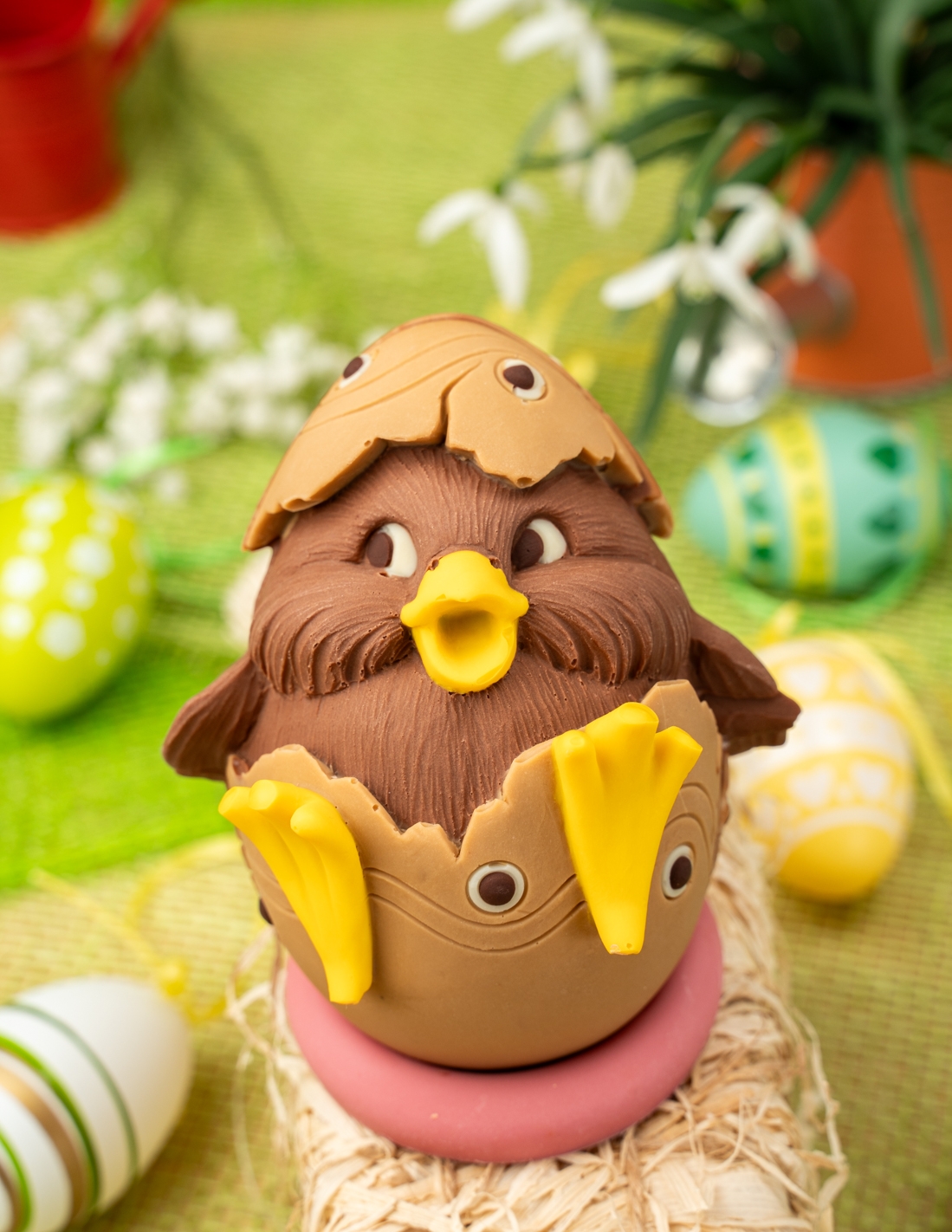 Poussin et son œuf - Chocolat Beussent Lachelle                                 2