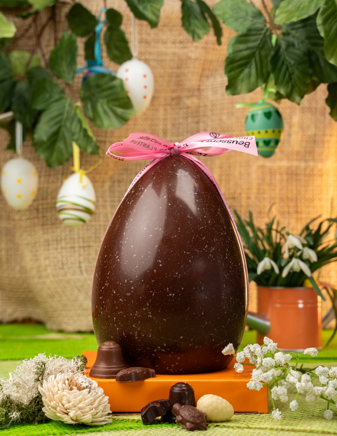 Œuf n°4 - Chocolat Beussent Lachelle