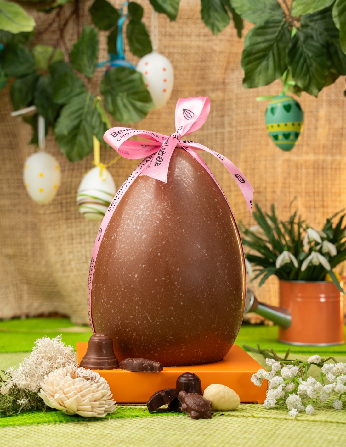 Œuf n°4 - Chocolat Beussent Lachelle                                 2