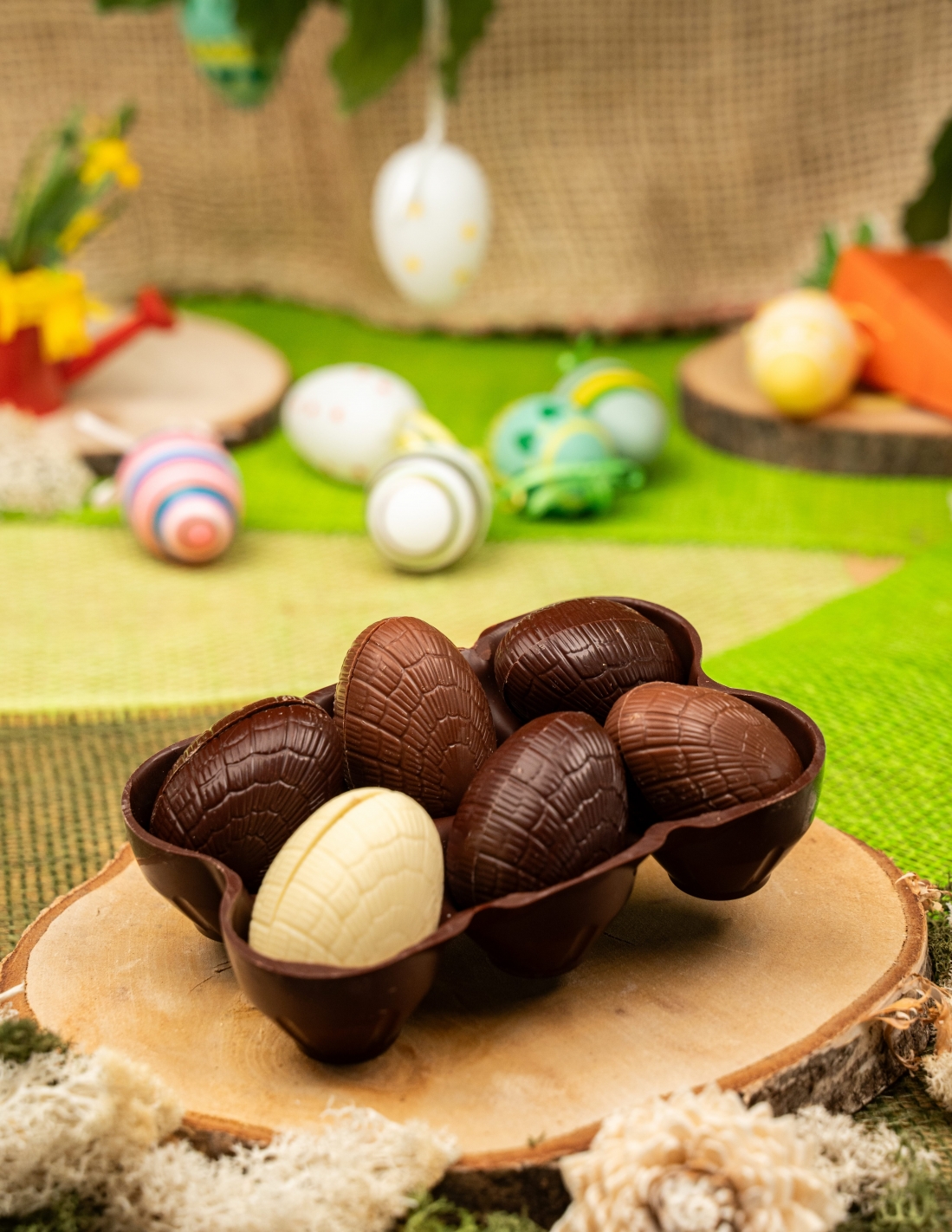 Barquette 6 œufs surprise - Chocolat Beussent Lachelle