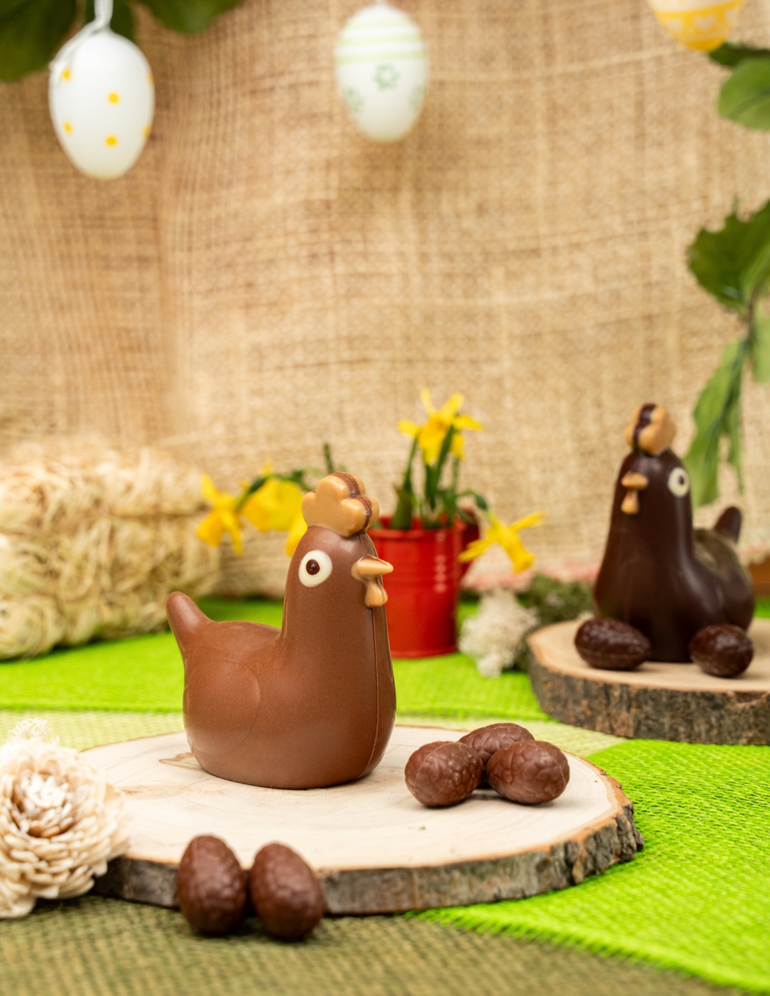 Poule Odette - Chocolat Beussent Lachelle