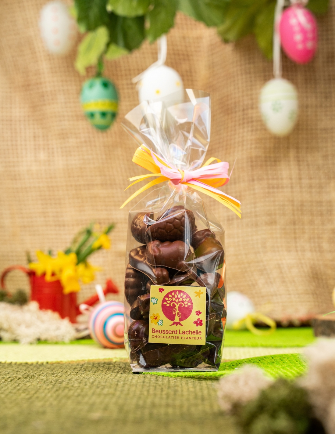 Sachet de friture praliné de Pâques - Chocolat Beussent Lachelle