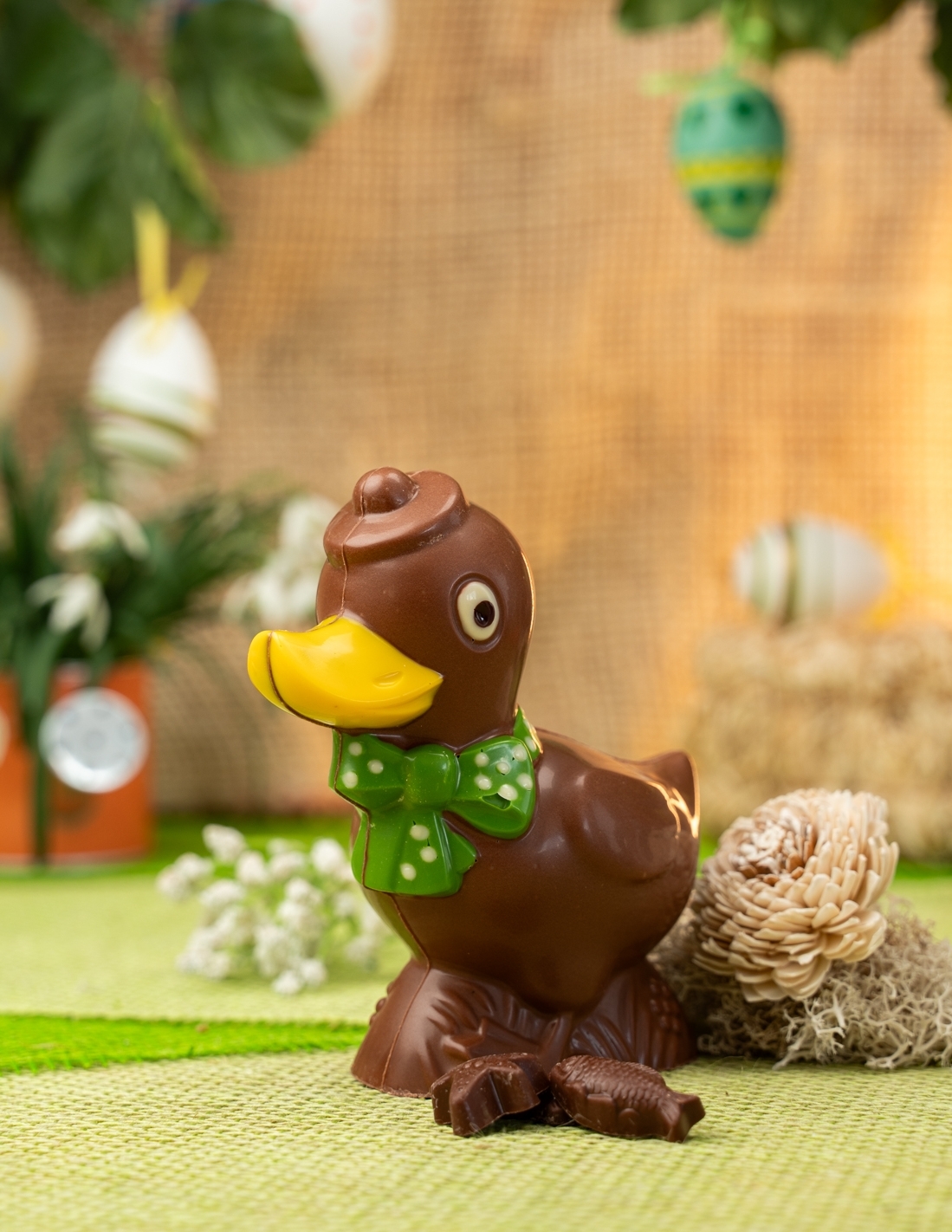 Mr Canard Mr Canard