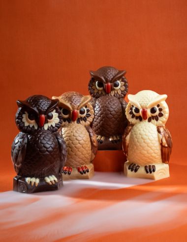 Chouette d'Halloween