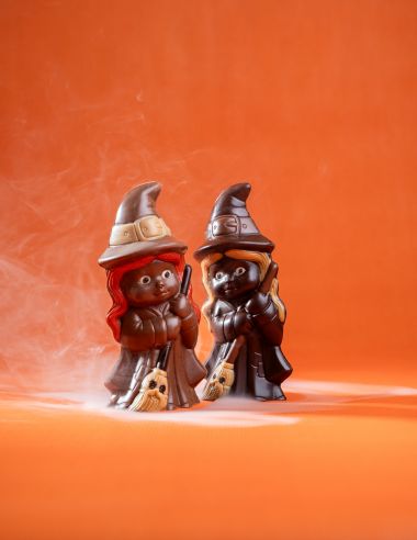 Ma sorcière bien aimée