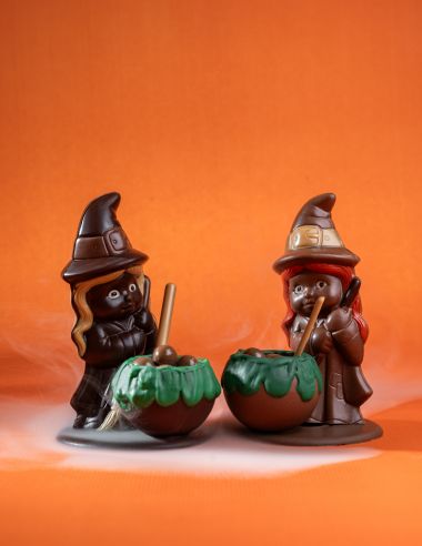 La sorcière et son chaudron