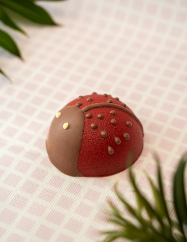 Bouchée coccinelle praliné