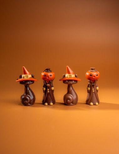 Jack pumpkin / Black cat