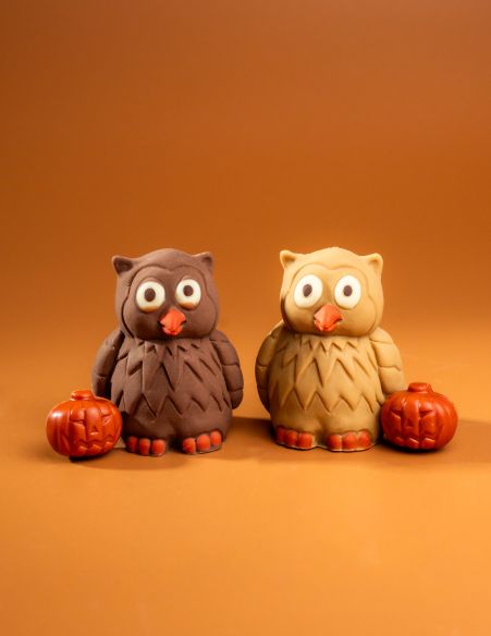 Choco'Chouettes