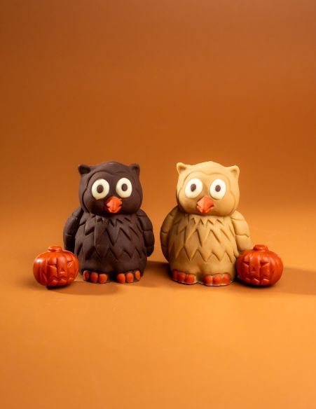 Choco'Chouettes